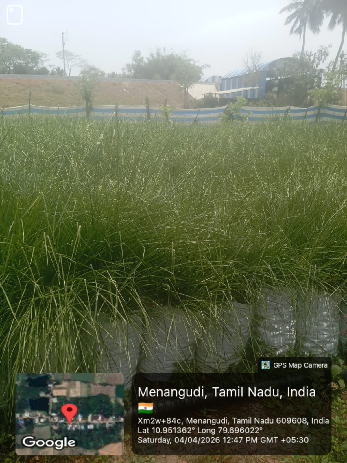 Smart Irrigation - 1200x1600px